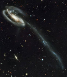 Этот длинный "хвост" Головастика породило относительно недавнее столкновение галактик. Если событие GRB 070125 произошло в подобном остатке, то только "Хаббл" сможет разглядеть подобный "хвост". Фото NASA, H. Ford, et al.