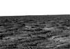 Изображение, полученное камерами "Феникса" в первый марсианский день (золь) в 17:15:35 по местному времени. Фото NASA/JPL-Caltech/University of Arizona с сайта http://phoenix.lpl.arizona.edu/