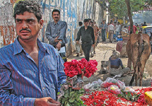 Мусульманское кладбище в Мумбаи. Фото пользователя ericparker на Flickr.Com