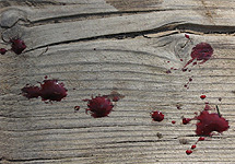 Кровь на полу. Фото Tambovinfo.Ru
