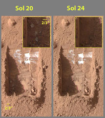 Снимки, полученные Phoenix Mars Lander на Марсе и демонстрирующие процесс сублимации марсианского льда в вырытой траншее Додо-Златовласка (Dodo-Goldilocks). Фото NASA/JPL