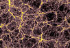 Смоделированная структура ранней Вселенной. Первые галактики размером с Млечный путь, обнаруженные Реннаном Барканой и Ави Лёбом