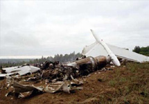 Авария одномоторного самолета. Фото РИА ''Новости''