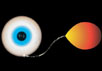 Нейтронная звезда с аккреционным диском (слева) питается веществом звезды-компаньона (справа). Рисунок Bill Saxton, NRAO/AUI/NSF с сайта www.nrao.edu