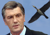 Виктор Ющенко и баклан. Коллаж Граней.Ру