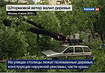Ураган в Москве. Кадр телеканала "Вести 24"