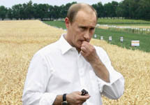 Владимир Путин в пшеничном поле. Фото с сайта www.lp-media.satel.com.ua