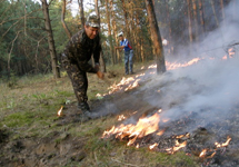 Лесной пожар. Фото с сайта www.segodnya.ua