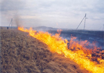 Пожар в Волгоградской области. Фото с сайта www.fwnews.ru
