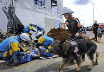 Японские спасатели ищут людей под завалами. Фото с сайта www.donbass.ua