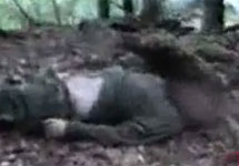 Боевик, убитый в ущелье Лопота. Кадр грузинского МВД