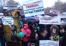 Митинг в защиту собак. Фото: Грани.Ру
