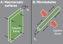 Измерение эффекта Казимира. Схема с сайта www.eetimes.com