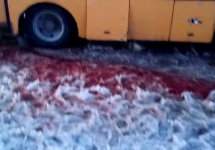Обстрелянный под Волновахой автобус. Кадр видео с канала Анатолия Шария