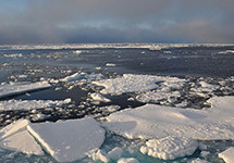 Арктика. Фото: Wiki