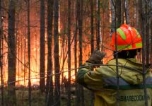 Лесной пожар. Фото: rosleshoz.gov.ru