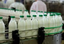 Производство молока. Фото: milknet.ru 