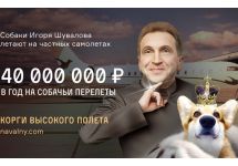 Иллюстрация с сайта Алексея Навального