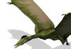 Летающий динозавр - птеродактиль. Изображение с сайта evolution.discovery.com