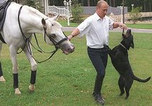 Владимир Путин в Ново-Огареве. Фото: kremlin.ru