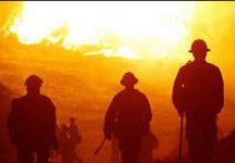 Лесной пожар в Калифорнии. Фото AFP