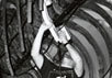 Обследование останков динозавра с помощью портативной рентгеновской аппаратуры. Фото Б.Ротшильда с сайта www.nature.com