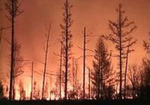 Пожар в лесу. Фото с сайта  www.region45.ru