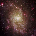 Галактика M33. Фото Indiana University с сайта PhysOrg.com