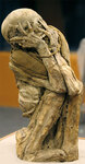 Мумия чачапоя ("воинов облаков") в одном из перуанских музеев (900-1500 гг. н.э.). Фото с сайта National Geographic
