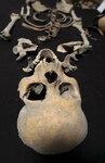 Скелет обезглавленного ребенка, найденный этой весной в Туле (Мексика). Фото с сайта news.nationalgeographic.com