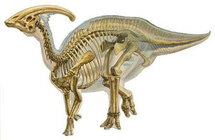 Гадрозавр с сайта http://blogs.paleored.com/