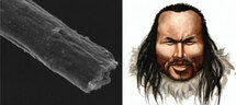 Слева - фотография волоса Инука, полученная с помощью электронного микроскопа, справа: так Инук мог выглядеть в жизни, 4000 лет назад. Изображение с сайта www.wired.com