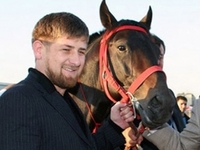 Кадыров с лошадью. Фото: vainah.info