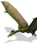Летающий динозавр - птеродактиль. Изображение с сайта evolution.discovery.com/features.html