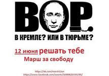 Плакат к акции 12 июня. Источник: ФБ-страница Дарьи Полюдовой