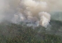 Лесной пожар в Красноярском крае. Кадр ТВЦ
