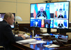 Сессия Совета коллективной безопасности ОДКБ (в режиме видеоконференции). Путин фото КРемлин