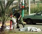 Теракт на автобусной остановке 28 марта. Фото Reuters