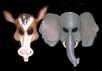 Маски слона и осла - символов Республиканской и Демократической партий США. Фото с сайта http://fantasyguilde.com