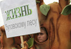 На митинге в защиту бутовского леса. Фото Д.Борко/Грани.Ру