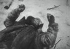 Труп советского солдата в Финляндии, Кадр хроники