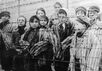 Освобождение узников Освенцима. Кадр фронтового кинооператора Александра Воронцова