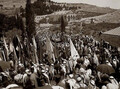 26. Паломники-мусульмане входят в Иерусалим через Гефсиманский сад. 1935 г.