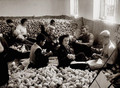 28. Арабские и еврейские рабочие упаковывают апельсины. 1934 г.