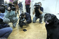 1. Хэнриэтта Буш - мама собаки Путина Кони, главный почетный гость выставки. Фото Д.Борко/Грани.Ру