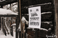 Выставка на сгоревшей даче Муромцева. Фото Л. Барковой/Грани.Ру
