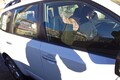 Лев Рубинштейн на автопробеге "Белое кольцо". Фото: Илья Епишкин/onlife.me