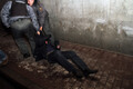 Румоловского бойца оттаскивают по утреннему асфальту от здания мэрии. Фото из твиттера группы Война