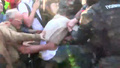 Оттаскивание задерживаемых 6 мая на Болотной. Кадр видеозаписи