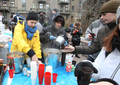 Евромайдан 3 декабря. Фото пресс-службы "Батькивщины"